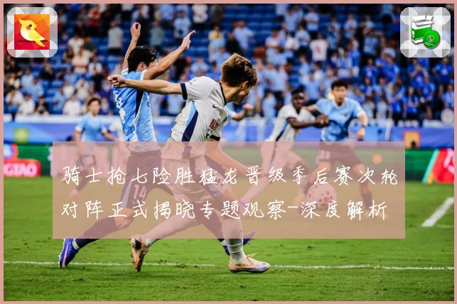 骑士抢七险胜猛龙晋级季后赛次轮对阵正式揭晓专题观察-深度解析