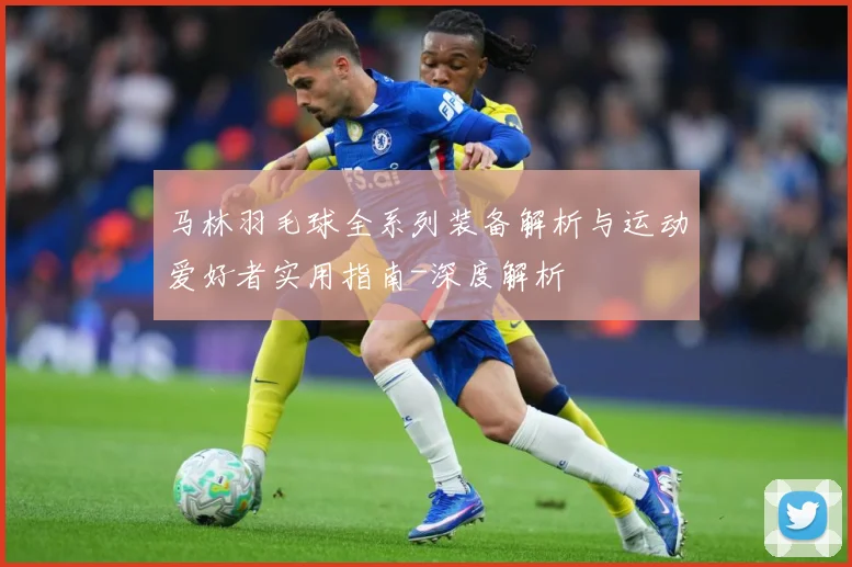 马林羽毛球全系列装备解析与运动爱好者实用指南-深度解析