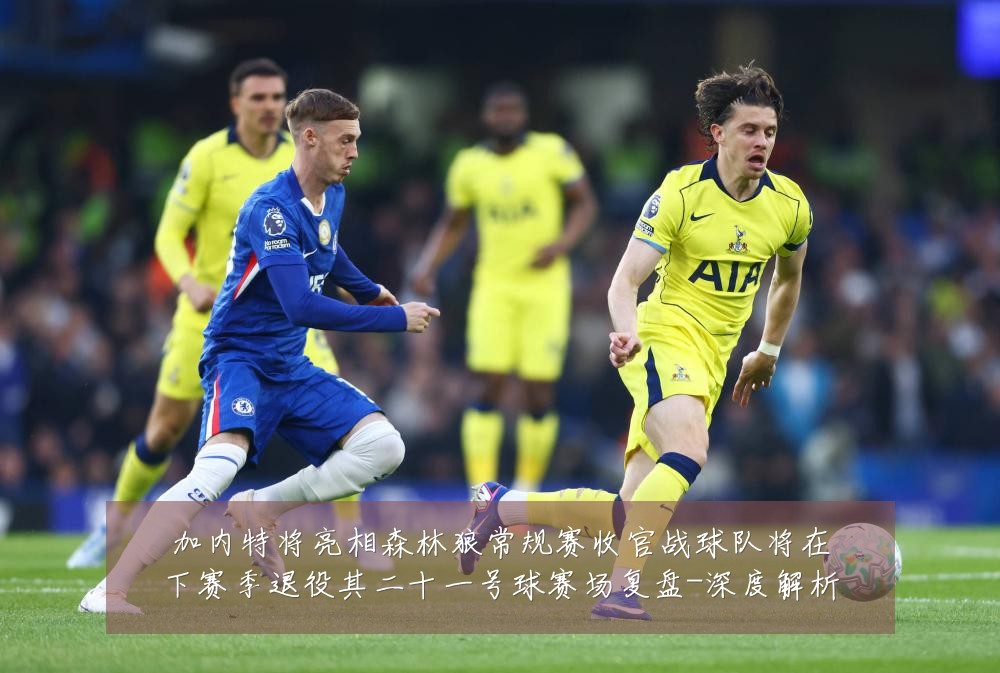 加内特将亮相森林狼常规赛收官战球队将在下赛季退役其二十一号球赛场复盘-深度解析
