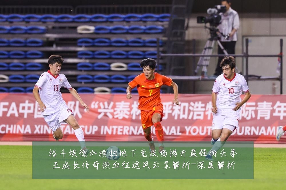 格斗埃德加横扫地下竞技场揭开最强街头拳王成长传奇热血征途风云录解析-深度解析